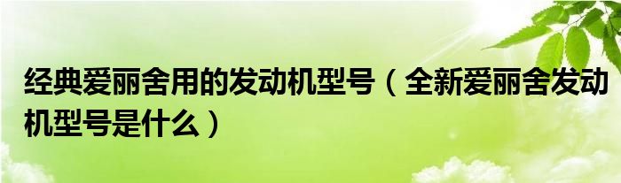 经典爱丽舍用的发动机型号（全新爱丽舍发动机型号是什么）