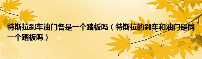 特斯拉刹车油门各是一个踏板吗（特斯拉的刹车和油门是同一个踏板吗）