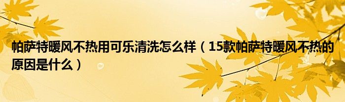 帕萨特暖风不热用可乐清洗怎么样（15款帕萨特暖风不热的原因是什么）