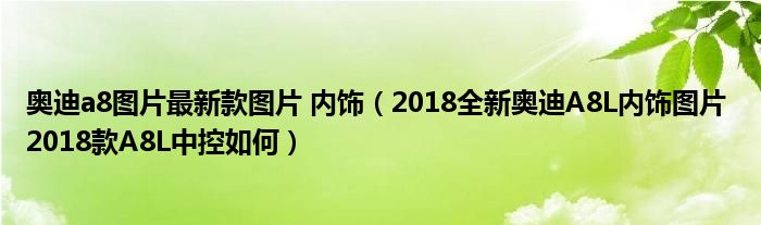 奥迪a8图片最新款图片 内饰（2018全新奥迪A8L内饰图片 2018款A8L中控如何）