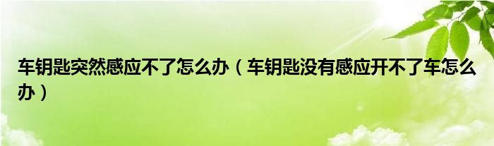 车钥匙突然感应不了怎么办（车钥匙没有感应开不了车怎么办）