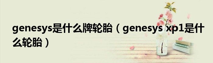 genesys是什么牌轮胎（genesys xp1是什么轮胎）