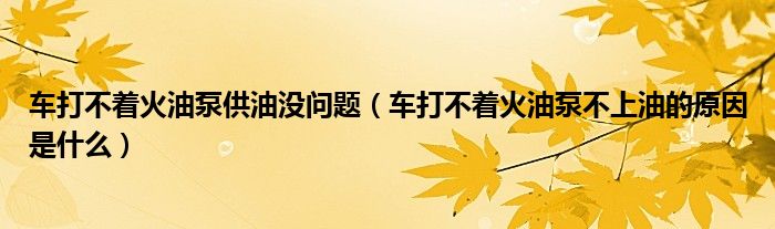 车打不着火油泵供油没问题（车打不着火油泵不上油的原因是什么）