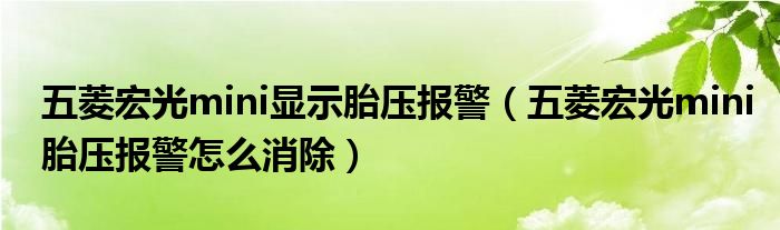 五菱宏光mini显示胎压报警（五菱宏光mini胎压报警怎么消除）