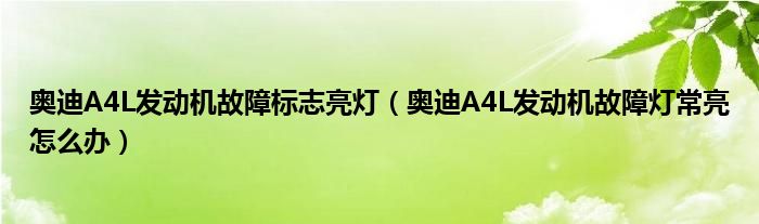 奥迪A4L发动机故障标志亮灯（奥迪A4L发动机故障灯常亮怎么办）