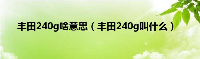 丰田240g啥意思（丰田240g叫什么）