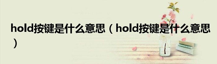 hold按键是什么意思（hold按键是什么意思）