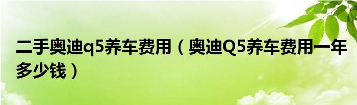 二手奥迪q5养车费用（奥迪Q5养车费用一年多少钱）