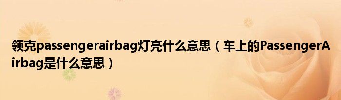 领克passengerairbag灯亮什么意思（车上的PassengerAirbag是什么意思）