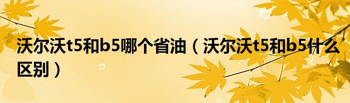 沃尔沃t5和b5哪个省油（沃尔沃t5和b5什么区别）