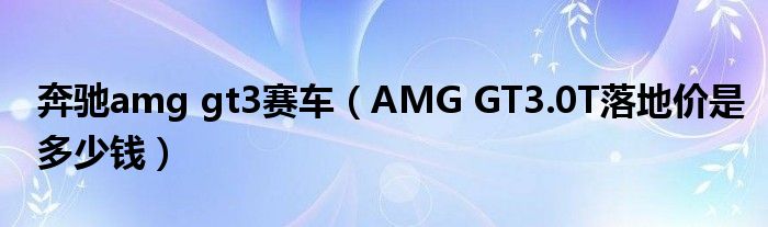 奔驰amg gt3赛车（AMG GT3.0T落地价是多少钱）