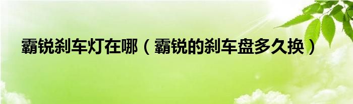 霸锐刹车灯在哪（霸锐的刹车盘多久换）