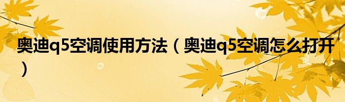 奥迪q5空调使用方法（奥迪q5空调怎么打开）