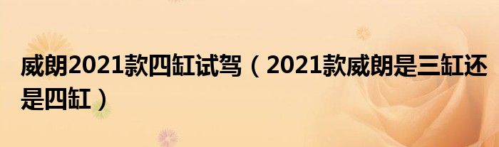 威朗2021款四缸试驾（2021款威朗是三缸还是四缸）