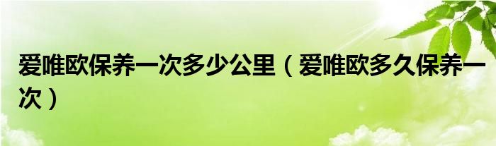 爱唯欧保养一次多少公里（爱唯欧多久保养一次）