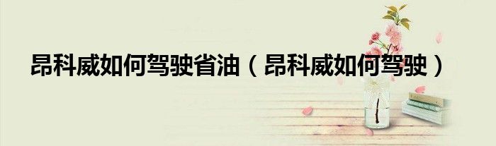 昂科威如何驾驶省油（昂科威如何驾驶）