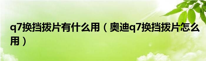 q7换挡拨片有什么用（奥迪q7换挡拨片怎么用）