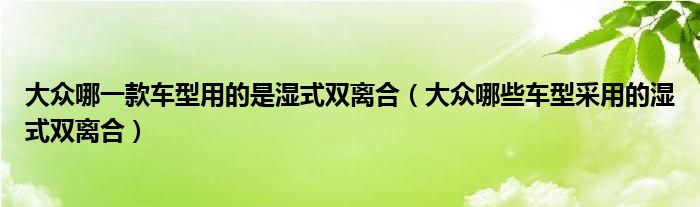 大众哪一款车型用的是湿式双离合（大众哪些车型采用的湿式双离合）