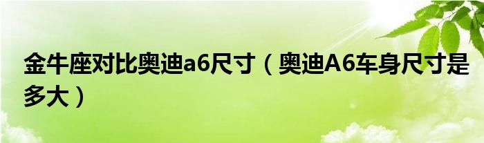 金牛座对比奥迪a6尺寸（奥迪A6车身尺寸是多大）