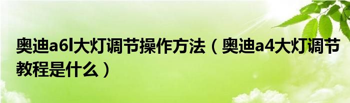 奥迪a6l大灯调节操作方法（奥迪a4大灯调节教程是什么）