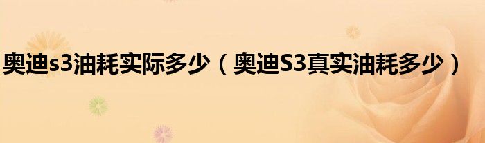 奥迪s3油耗实际多少（奥迪S3真实油耗多少）