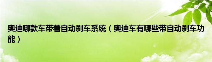 奥迪哪款车带着自动刹车系统（奥迪车有哪些带自动刹车功能）