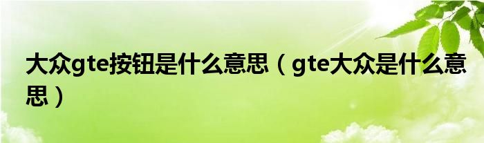 大众gte按钮是什么意思（gte大众是什么意思）