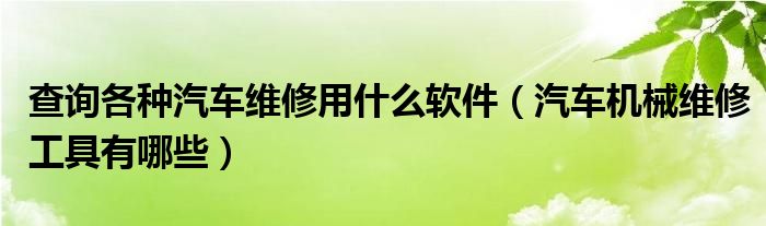 查询各种汽车维修用什么软件（汽车机械维修工具有哪些）