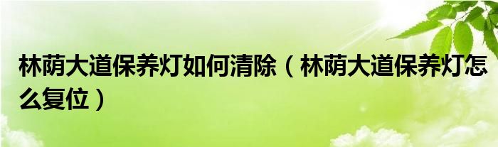 林荫大道保养灯如何清除（林荫大道保养灯怎么复位）