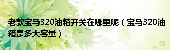 老款宝马320油箱开关在哪里呢（宝马320油箱是多大容量）