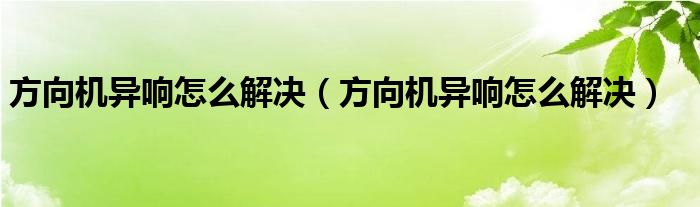 方向机异响怎么解决（方向机异响怎么解决）