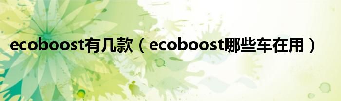 ecoboost有几款（ecoboost哪些车在用）