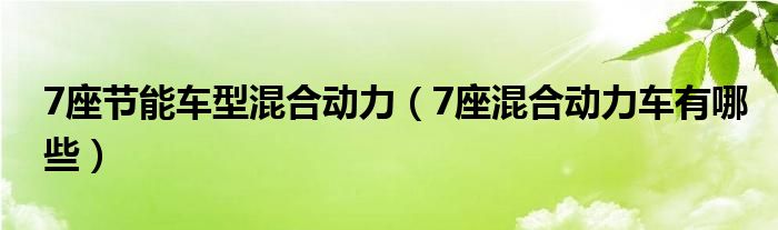 7座节能车型混合动力（7座混合动力车有哪些）