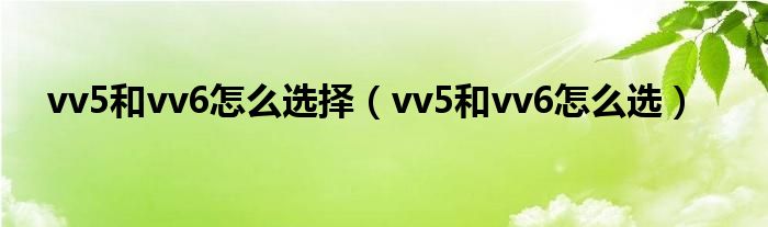 vv5和vv6怎么选择（vv5和vv6怎么选）