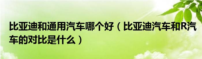 比亚迪和通用汽车哪个好（比亚迪汽车和R汽车的对比是什么）