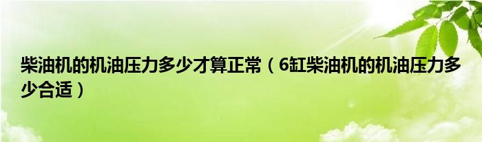 柴油机的机油压力多少才算正常（6缸柴油机的机油压力多少合适）