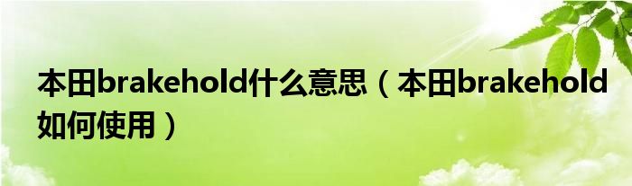 本田brakehold什么意思（本田brakehold如何使用）