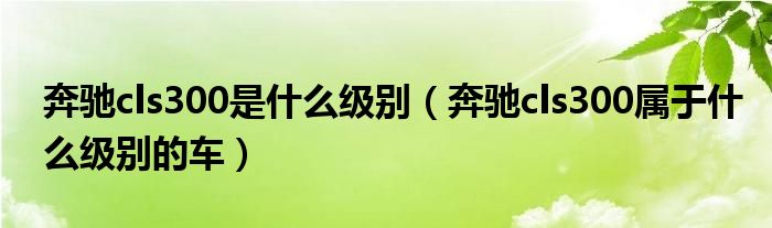 奔驰cls300是什么级别（奔驰cls300属于什么级别的车）