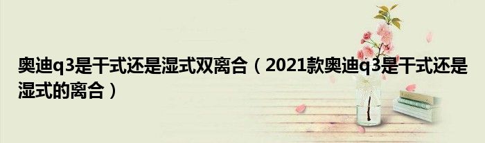 奥迪q3是干式还是湿式双离合（2021款奥迪q3是干式还是湿式的离合）