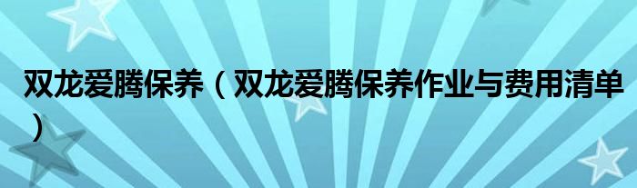 双龙爱腾保养（双龙爱腾保养作业与费用清单）