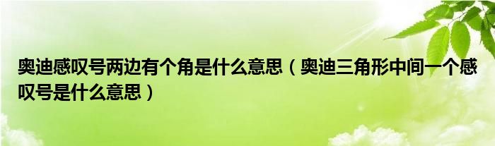 奥迪感叹号两边有个角是什么意思（奥迪三角形中间一个感叹号是什么意思）