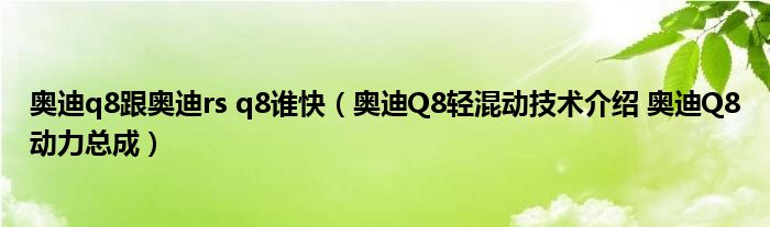 奥迪q8跟奥迪rs q8谁快（奥迪Q8轻混动技术介绍 奥迪Q8动力总成）