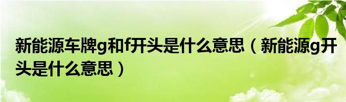 新能源车牌g和f开头是什么意思（新能源g开头是什么意思）