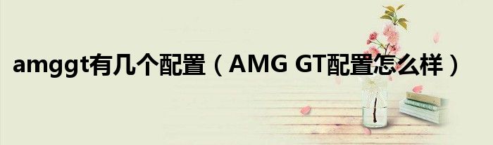 amggt有几个配置（AMG GT配置怎么样）