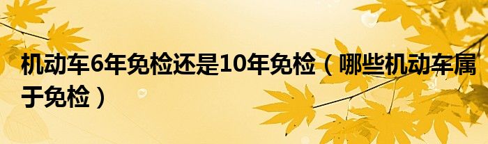 机动车6年免检还是10年免检（哪些机动车属于免检）