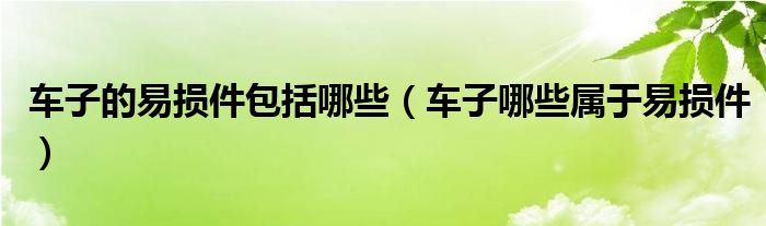 车子的易损件包括哪些（车子哪些属于易损件）