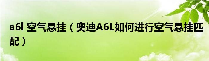 a6l 空气悬挂（奥迪A6L如何进行空气悬挂匹配）