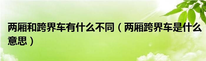 两厢和跨界车有什么不同（两厢跨界车是什么意思）