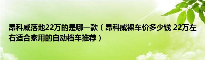 昂科威落地22万的是哪一款（昂科威裸车价多少钱 22万左右适合家用的自动档车推荐）