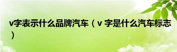 v字表示什么品牌汽车（v 字是什么汽车标志）